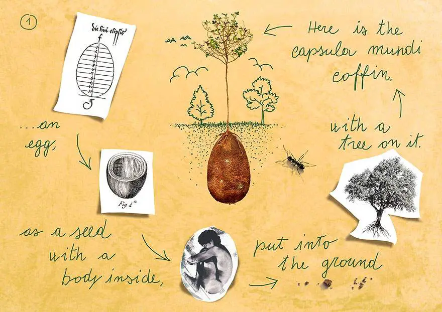 biodegradable-burial-pod-memory-forest-capsula-mundi-3-Optimized