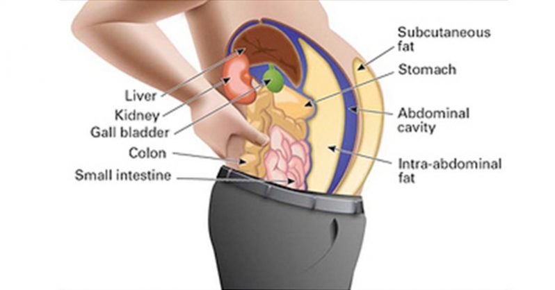 How To Get Toxins Out Of Your Body Naturally How To Get Toxins Out Of Your Body Naturally