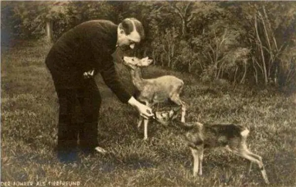 Hitler hand-feeding fawn, circa 1930