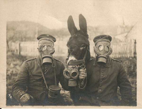 German soldiers and their mule wearing gas masks, circa 1916