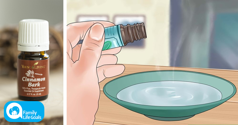 They said cinnamon was great for you, BUT this is what they didn’t say about CINNAMON OIL