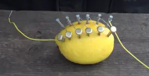 Lemon-Battery