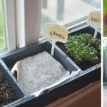 How to grow an endless supply of food indoors