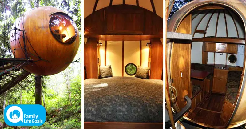 connect with nature by vacationing a tree house