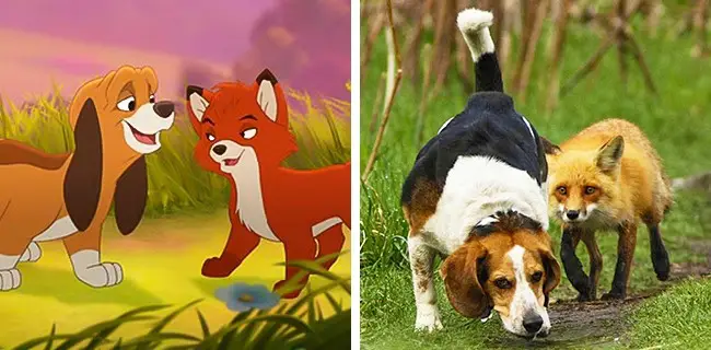fox and the hound