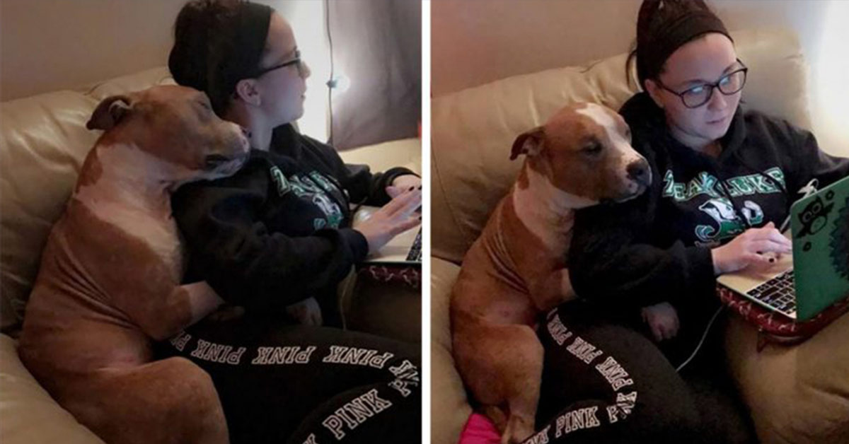 Woman Adopts Pit Bull from Shelter, and He Can’t Stop Hugging Her