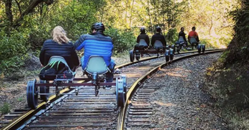 Ride Through The Redwood Forest In Northern California For An Incredible Fall Outing