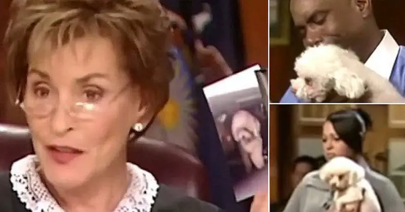 Judge Judy Sets Stolen Dog Loose in Courtroom So That He Can Identify His Real Owner