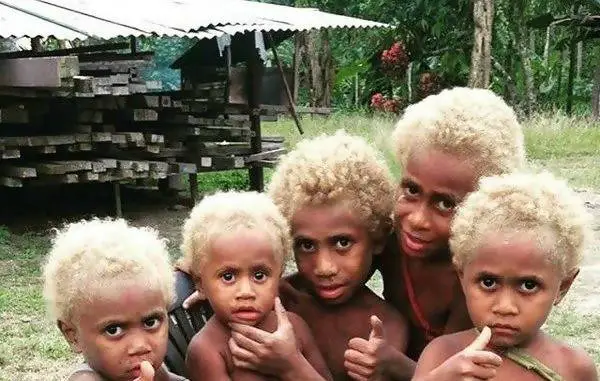 agrandeartedeserfeliz.com - Conheça os melanésios, os únicos negros do mundo com cabelos loiros naturais