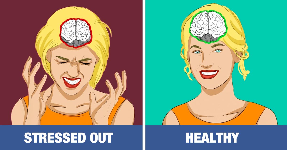 Stress Can Make Your Brain Shrink, However, You Can Stop That From Happening