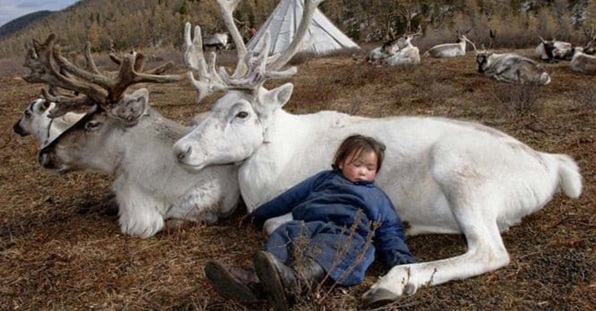 Photographer Captures Amazing Photos of a Lost Mongolian Tribe with a Reindeer Culture