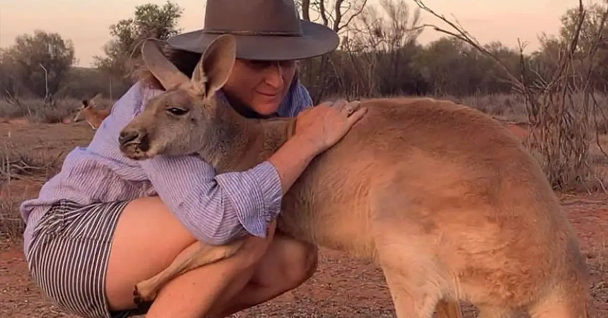 Rescued Kangaroo Gives Her Rescuers the Cutest Cuddles Every Morning