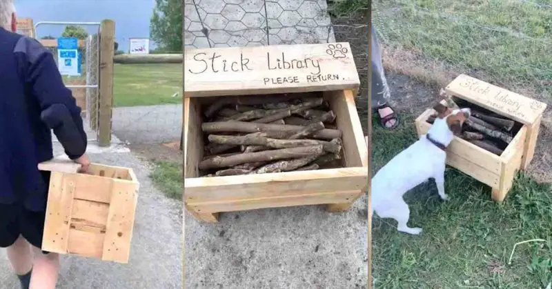 New Zealand Man Notices Distinct Lack Of Good Sticks At His Local Park And Builds A Stick Library For Neighborhood Dogs