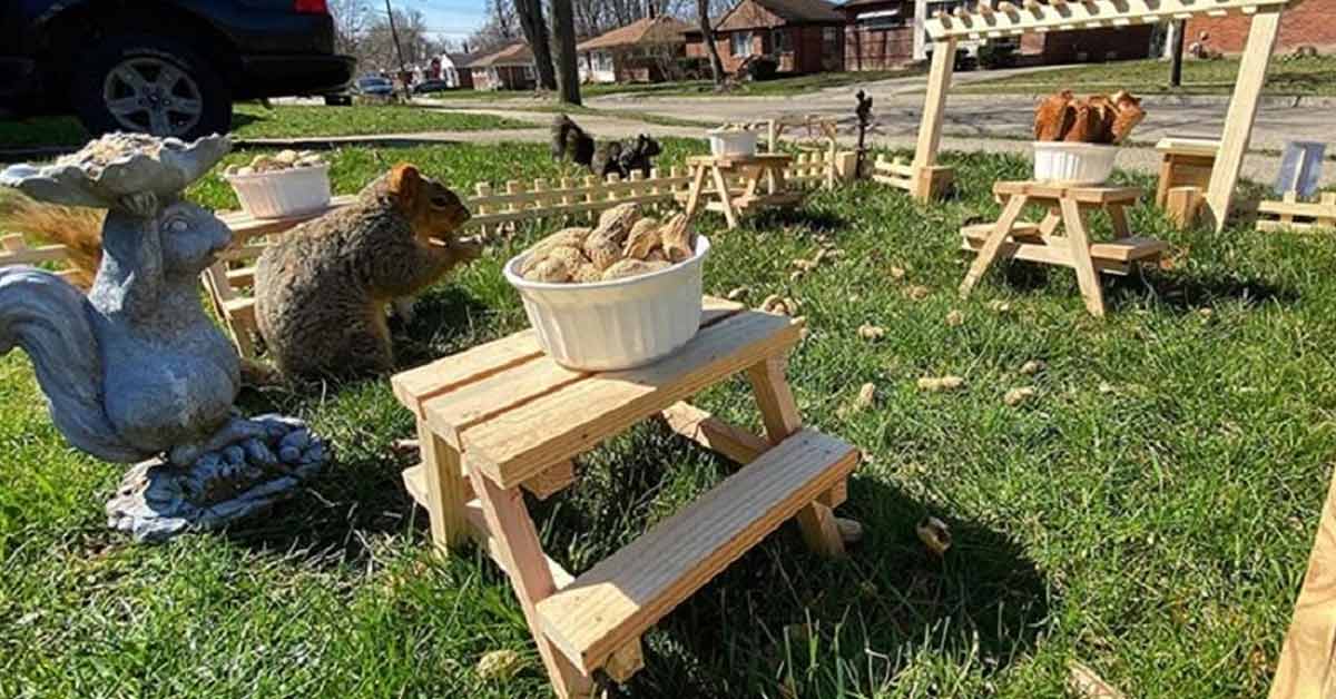 Bored Guy in Quarantine Builds a Restaurant for the Squirrels in His Yard