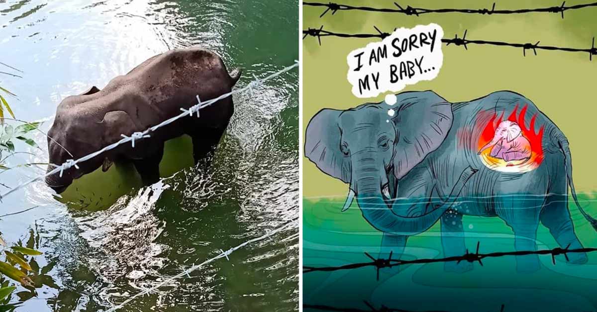 Artists Pay Tribute To The Pregnant Elephant Who Died After Eating A Pineapple Filled With Firecrackers