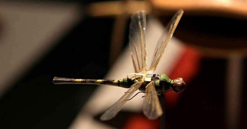 All About the Insectothopter, CIA’s Dragonfly UAV from the 1970s