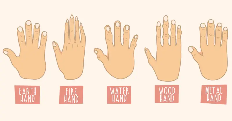 What Do the Shape of Your Hands Reveal About Your Personality?