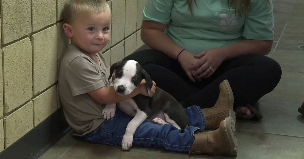 Michigan Boy Born With Cleft Lip Meets Puppy with the Same Condition, Adopts It