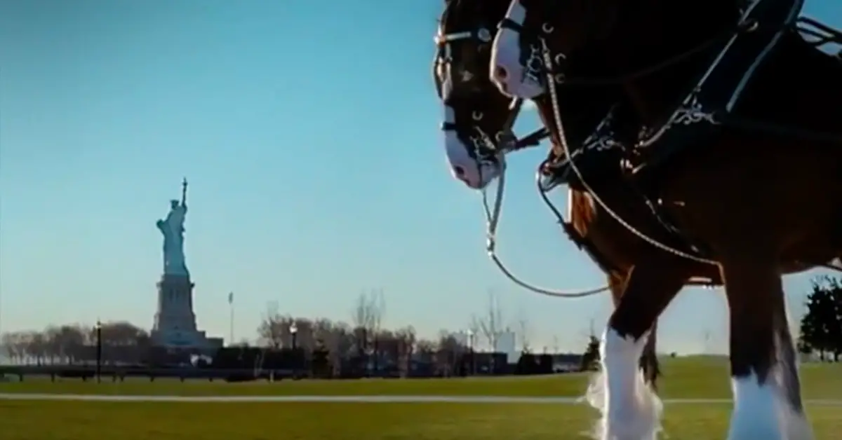 This Powerful Budweiser 9/11 Tribute Commercial Aired Only Once – But We Will Never Forget