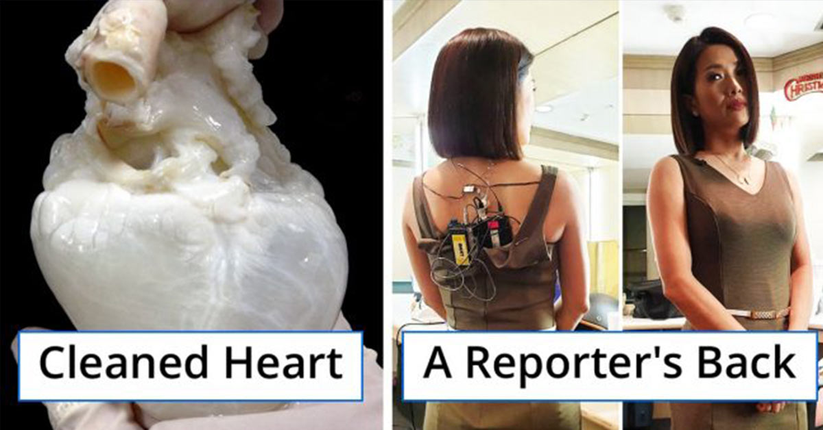 Amazing Pictures That Show the Unseen Side of Things
