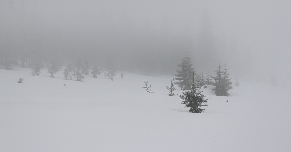 Alaskan Children Lost In Snow Storm Found Alive, Huddled Around 2-Year Old To Keep Him Warm